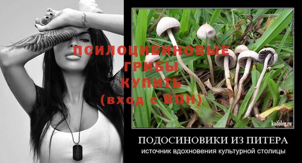 крисы Карпинск