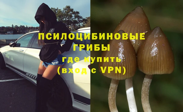 крисы Карпинск