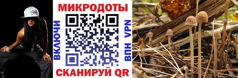 Псилоцибиновые грибы Cubensis  Купить закладки  Дюртюли 